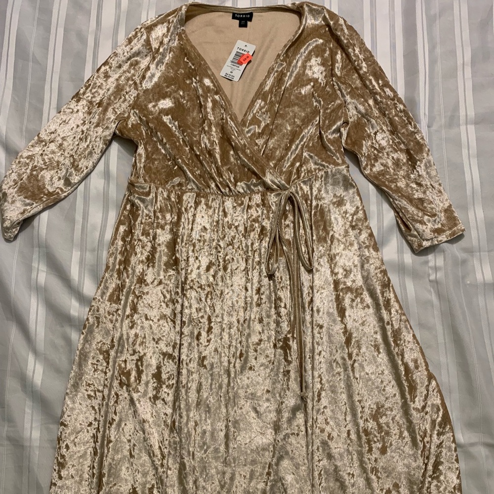 velvet torrid dress
